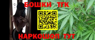 Альфа ПВП Можга
