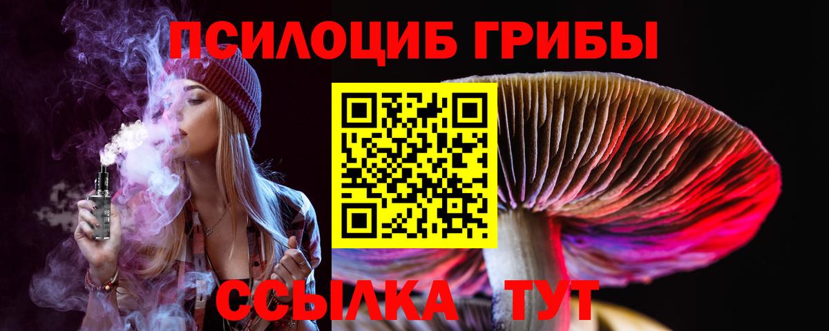 Тимашёвск  Галлюциногенные грибы прущие грибы  Вход с VPN 
